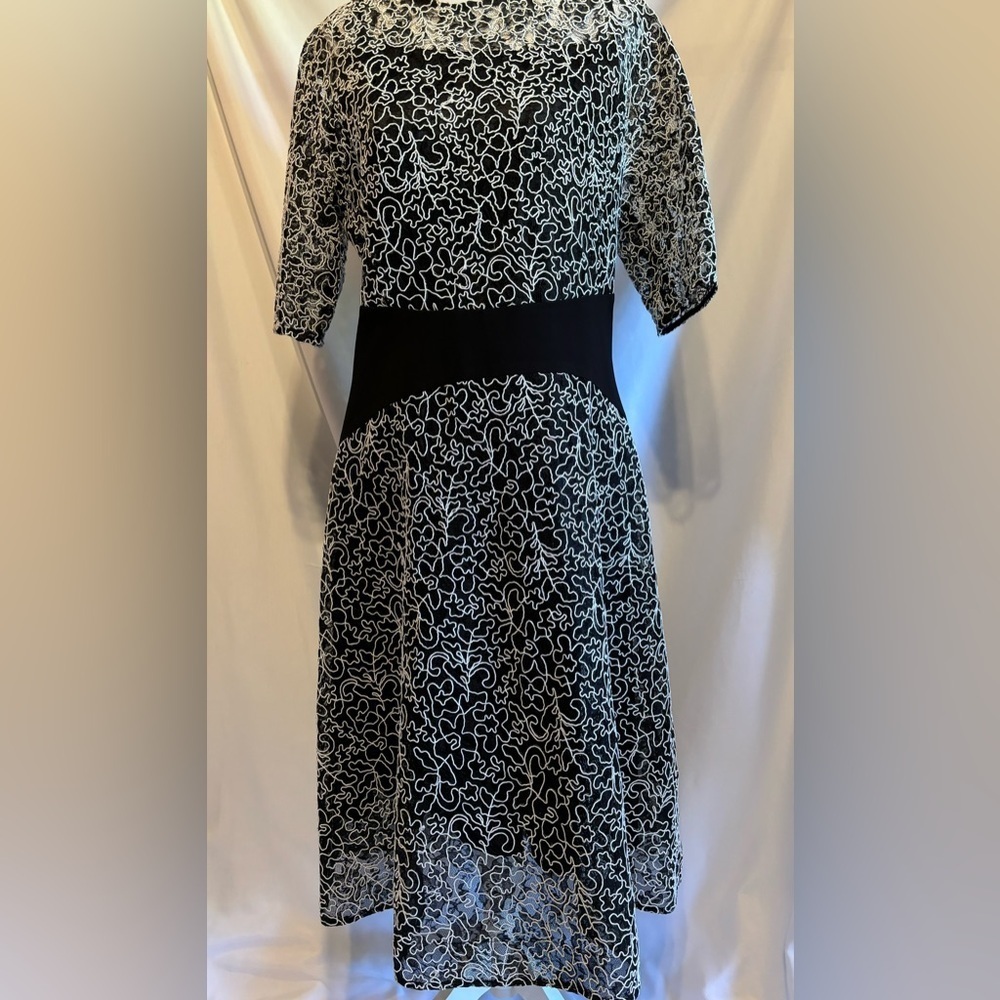 Teri Jon Black & White Dress